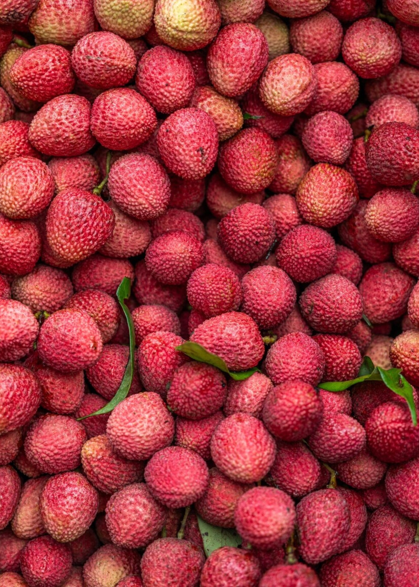 Olive Us Kaimana Lychee White Balsamic