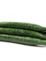 Olive Us Suyo Cucumber