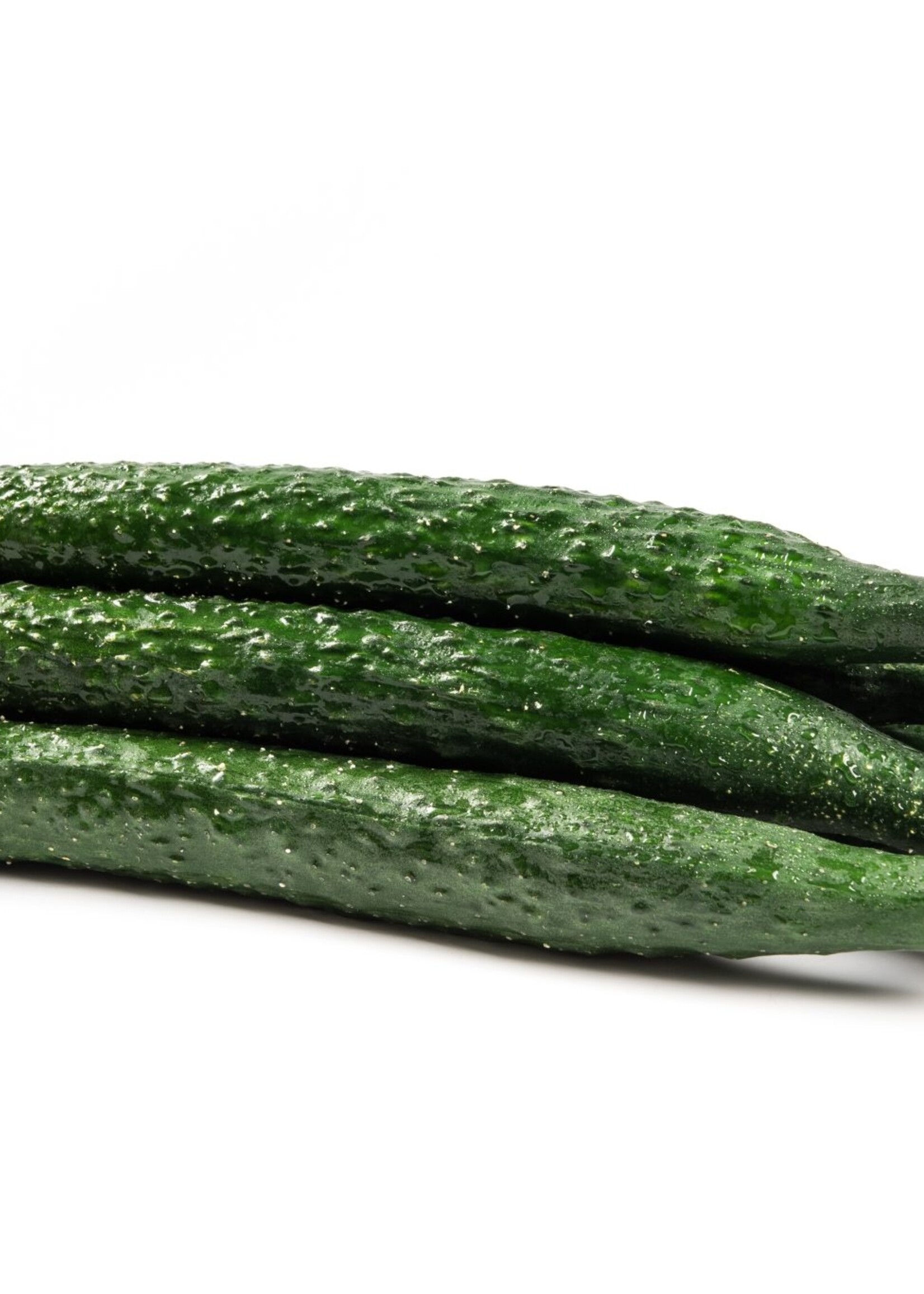 Olive Us Suyo Cucumber