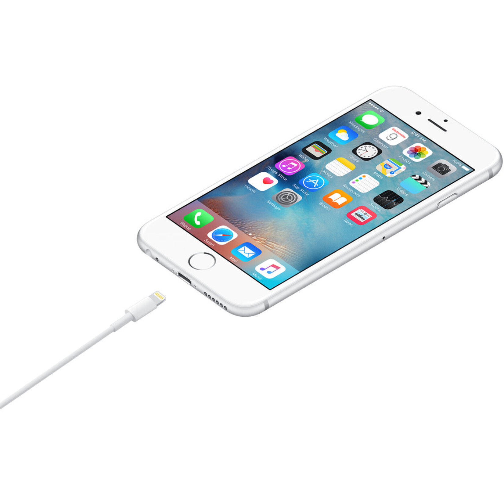 Apple Lightning to USB (1m)