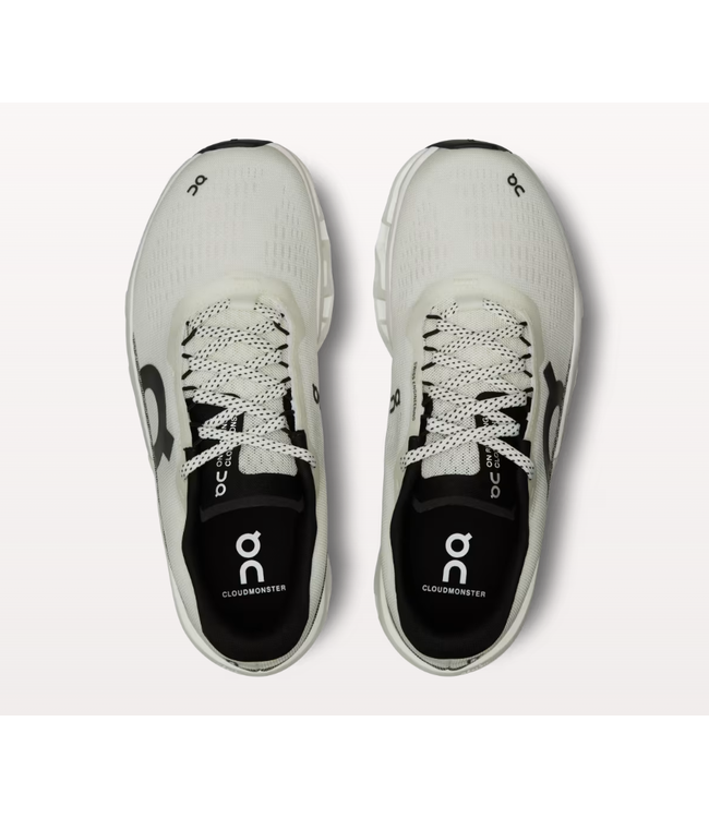 OnCloud M's Cloudmonster 2