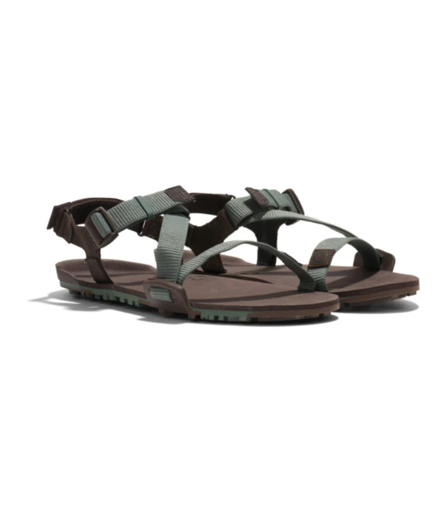 Xero Shoes M's Z-Trail EV