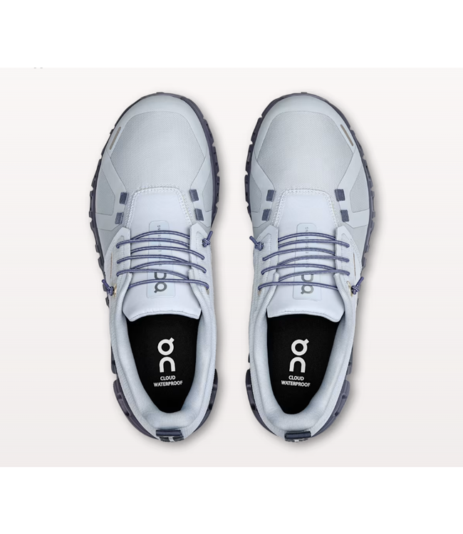 OnCloud W's Cloud 6 WP