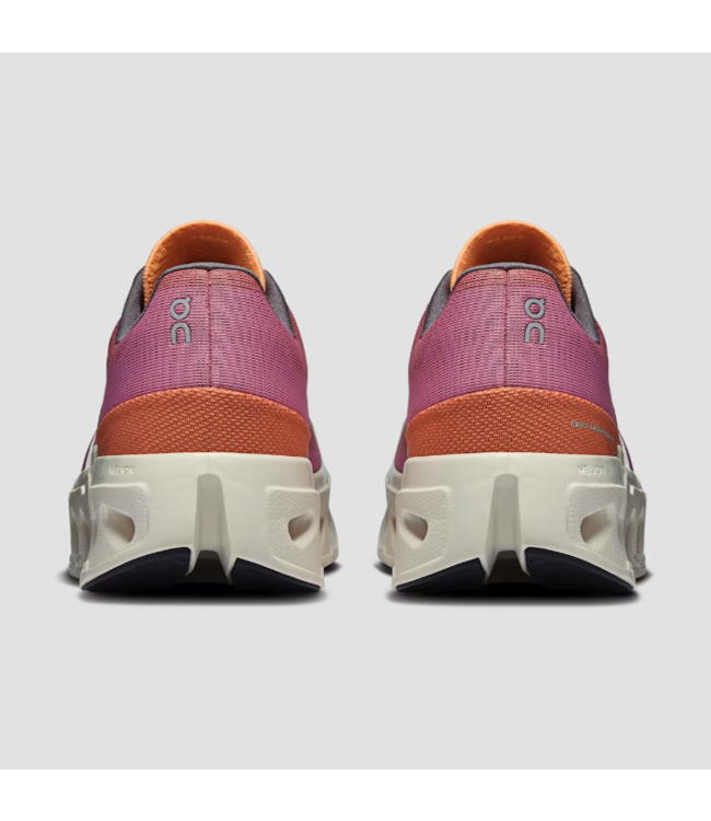 OnCloud W's Cloudeclipse