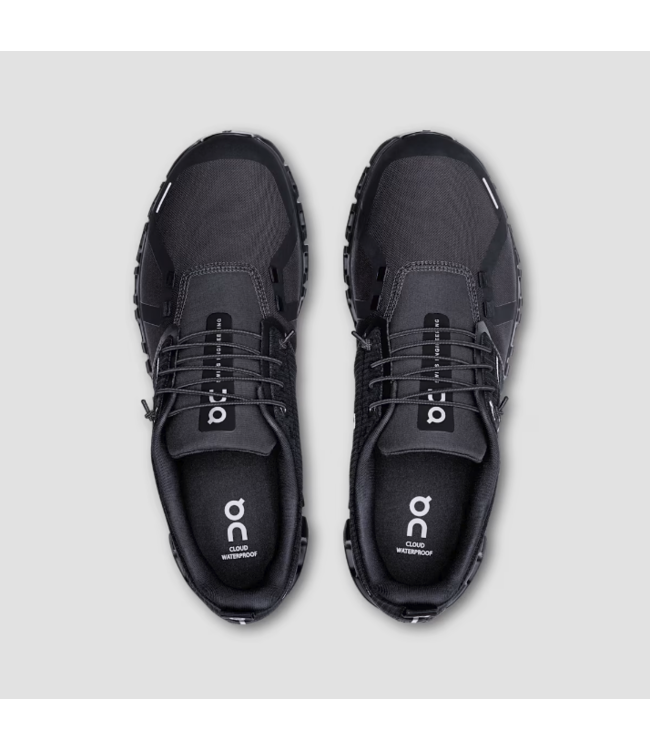 OnCloud M's Cloud 6 WP