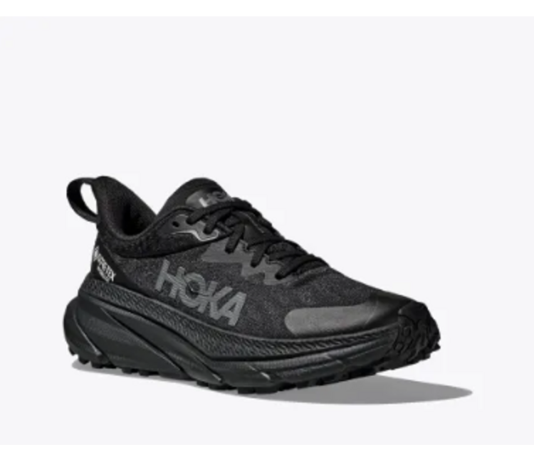 M's Challenger ATR 7 GTX - Mountain Outfitters