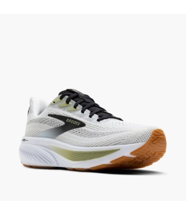 Brooks M's Ghost 17