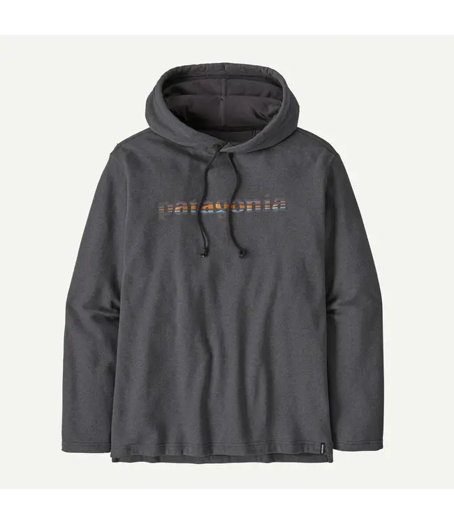 Patagonia M's Lightweight '73 Text Logo Wildrise Hoody