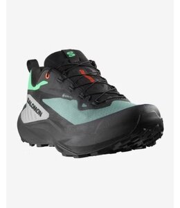 Salomon M's Genesis GTX