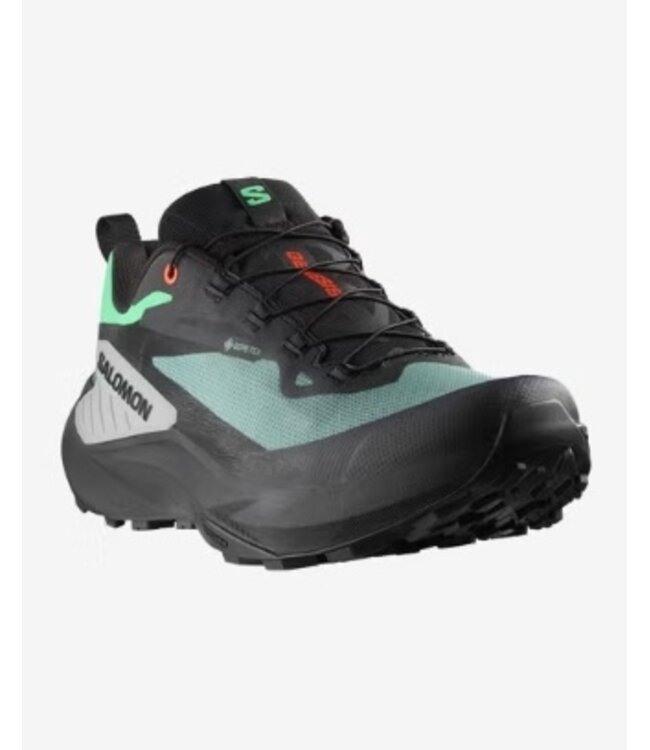 Salomon M's Genesis GTX