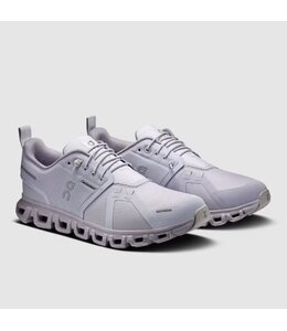 OnCloud W's Cloud 6 WP