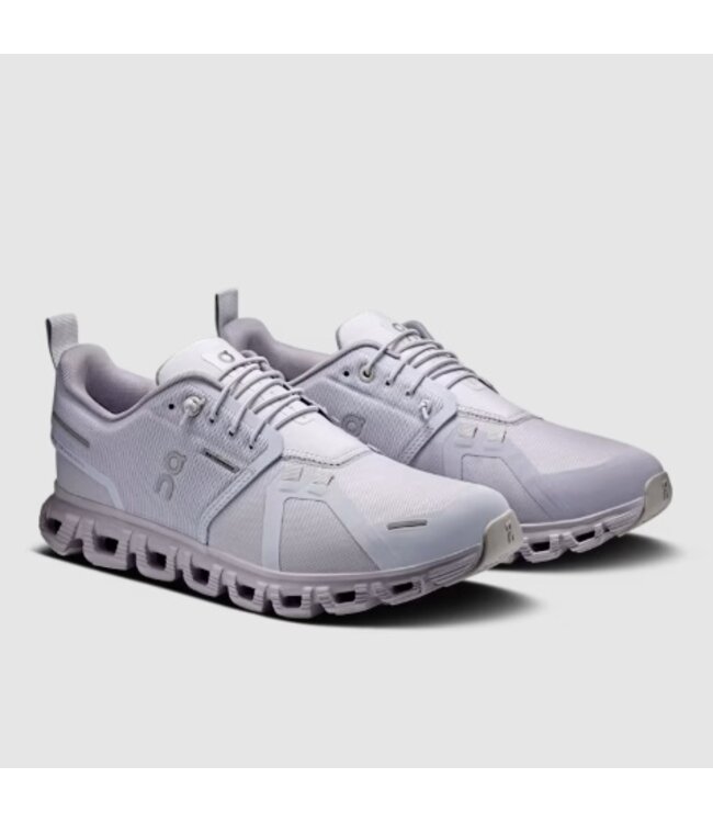 OnCloud W's Cloud 6 WP