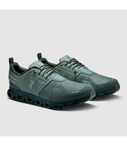 OnCloud M's Cloud 6 WP