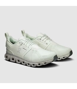 OnCloud W's Cloud 6 WP