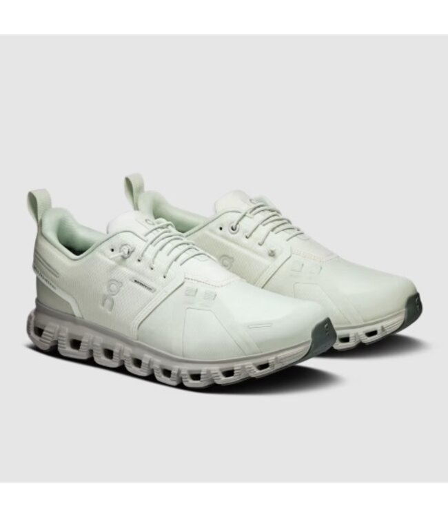 OnCloud W's Cloud 6 WP