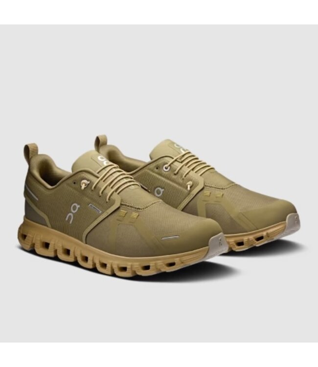 OnCloud M's Cloud 6 WP