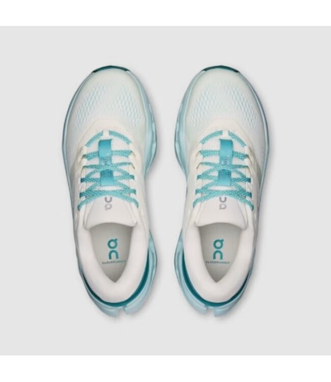 OnCloud W's Cloudrunner 3