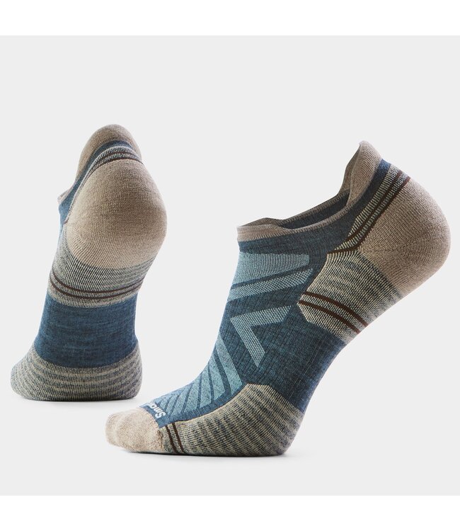 SmartWool Hike Targeted Cushion Low Ankle Socks