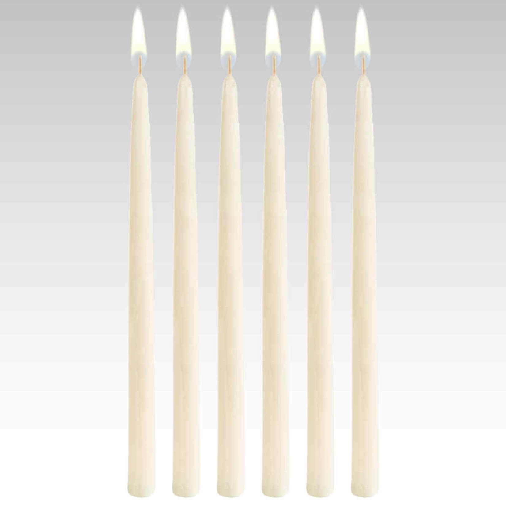 Taper Candles 12 INCH  IVORY