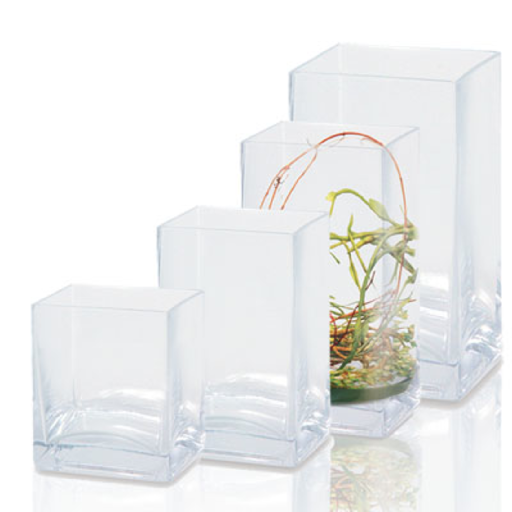 6"H X 6" X 4" CLEAR GLASS RECTANGLE CASE