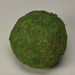 Moss Ball 6 "" Green, EACH