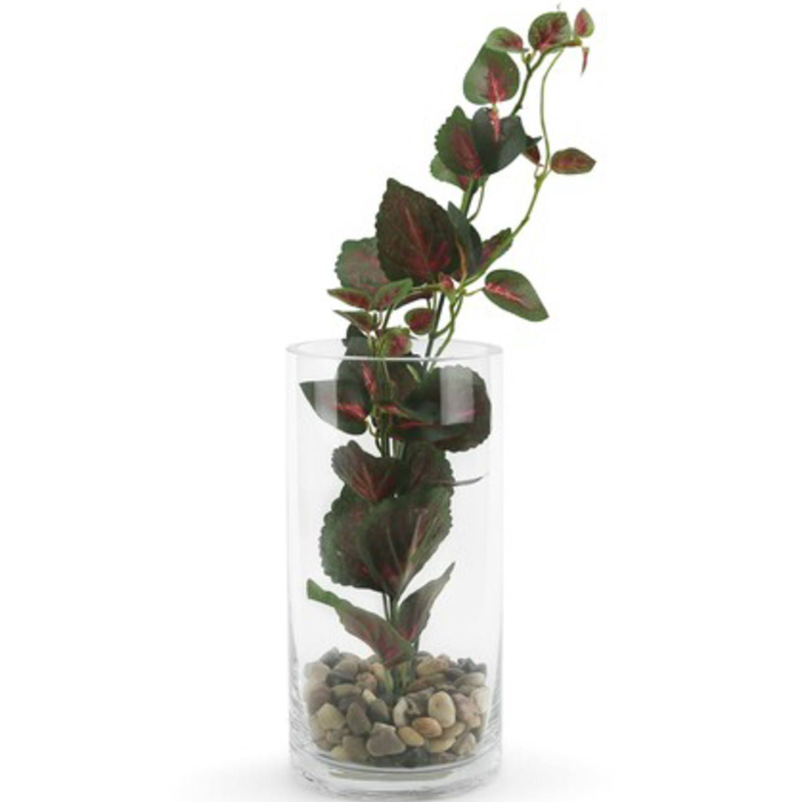 8"H X 4" CLEAR GLASS CYLINDER VASE