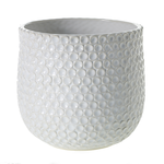 6.75"x 6.5”h Ginny Pot (AD)