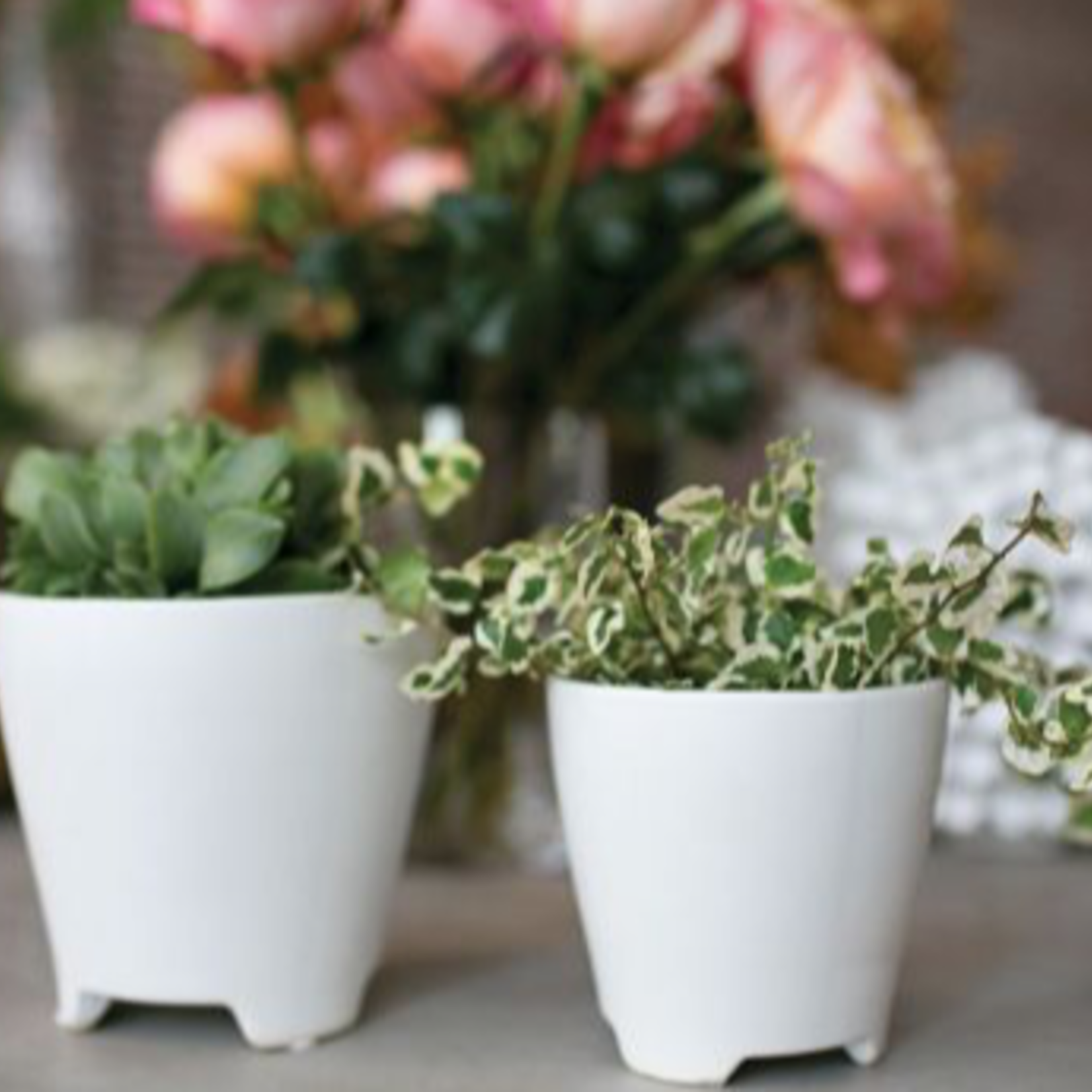 4”H X 4.25” RUTH POT (AD)