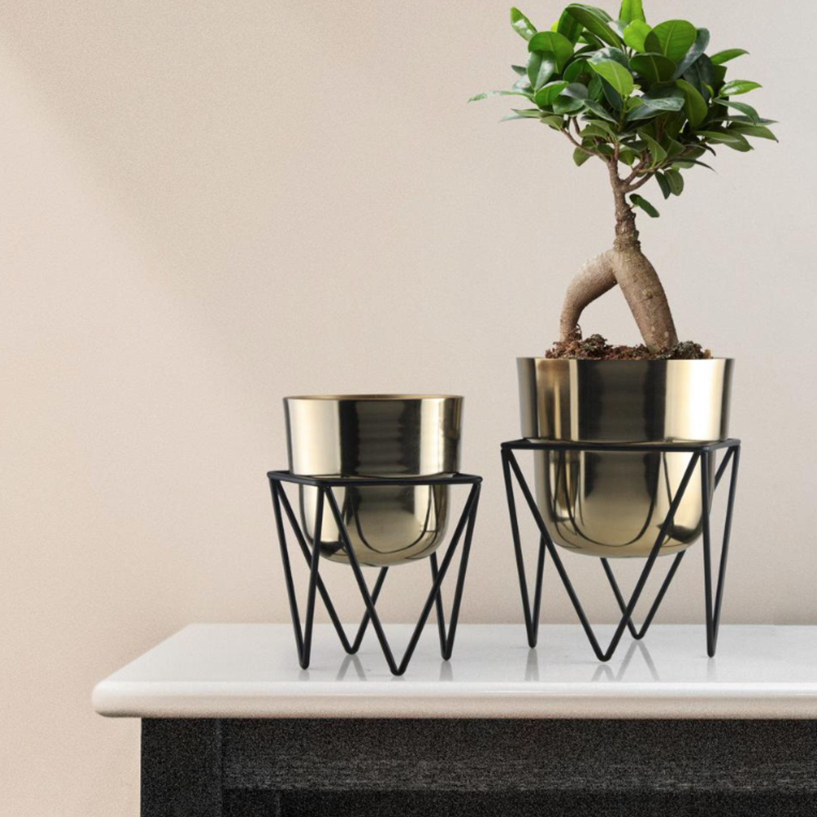 40% off was $75 now $45.   12.25” X 9”, POT 8.5”H X 9”, STAND 7.25”H X 8.75” GOLD METAL PLANTER W/ STAND 3-2076