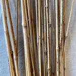 4FT HONEY BAMBOO STACK, NATURAL, 50 PCS