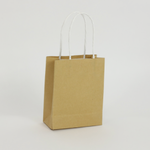 4.5" X 5.5" X 2.25" NATURAL TREAT BAG
