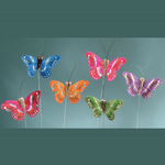2in. FEATHER BUTTERFLIES, 24pk