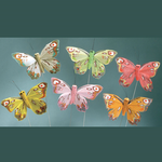 3in. FEATHER BUTTERFLIES, 12pk
