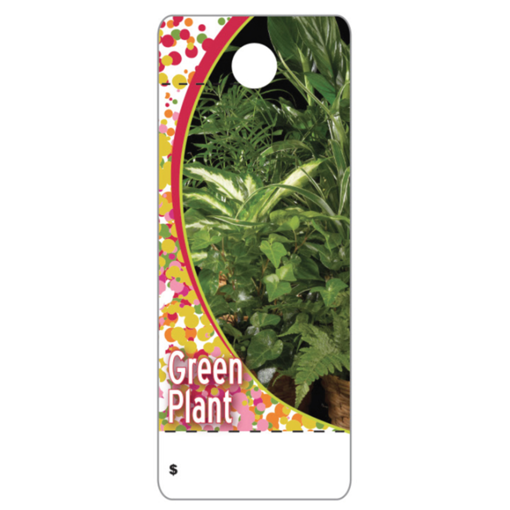 GREEN PLANT CARE TAG