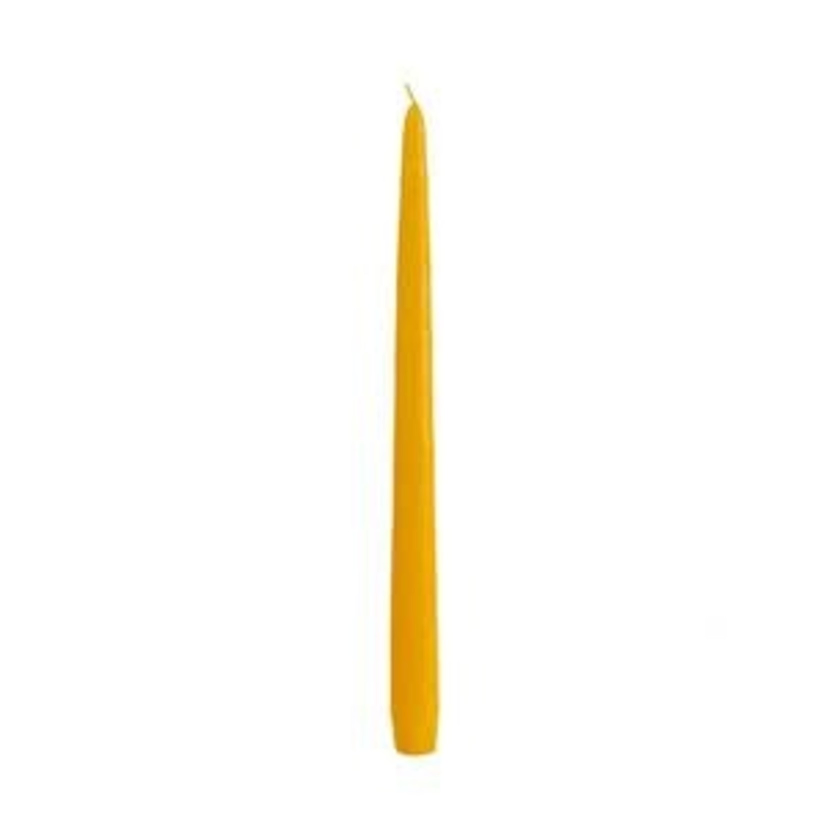 Taper Candles (Cello Wrapped) 12 INCH  DAFFODIL