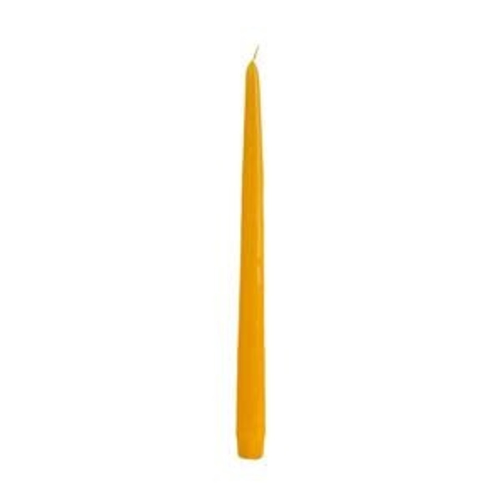 Taper Candles (Cello Wrapped) 12 INCH  AUTUMN YELLOW