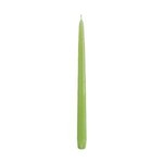 Taper Candles (Cello Wrapped) 12 INCH  FRESH GREEN