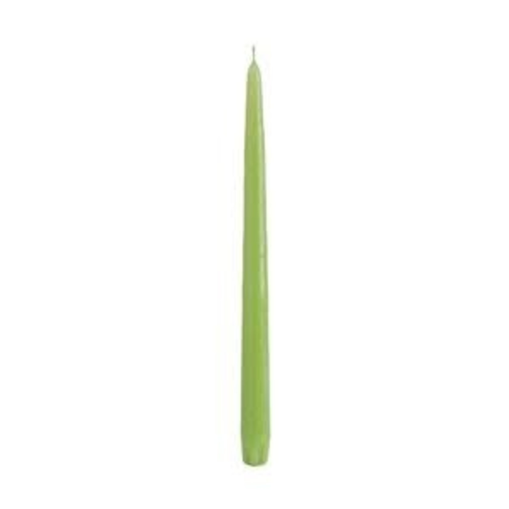 Taper Candles (Cello Wrapped) 12 INCH  FRESH GREEN