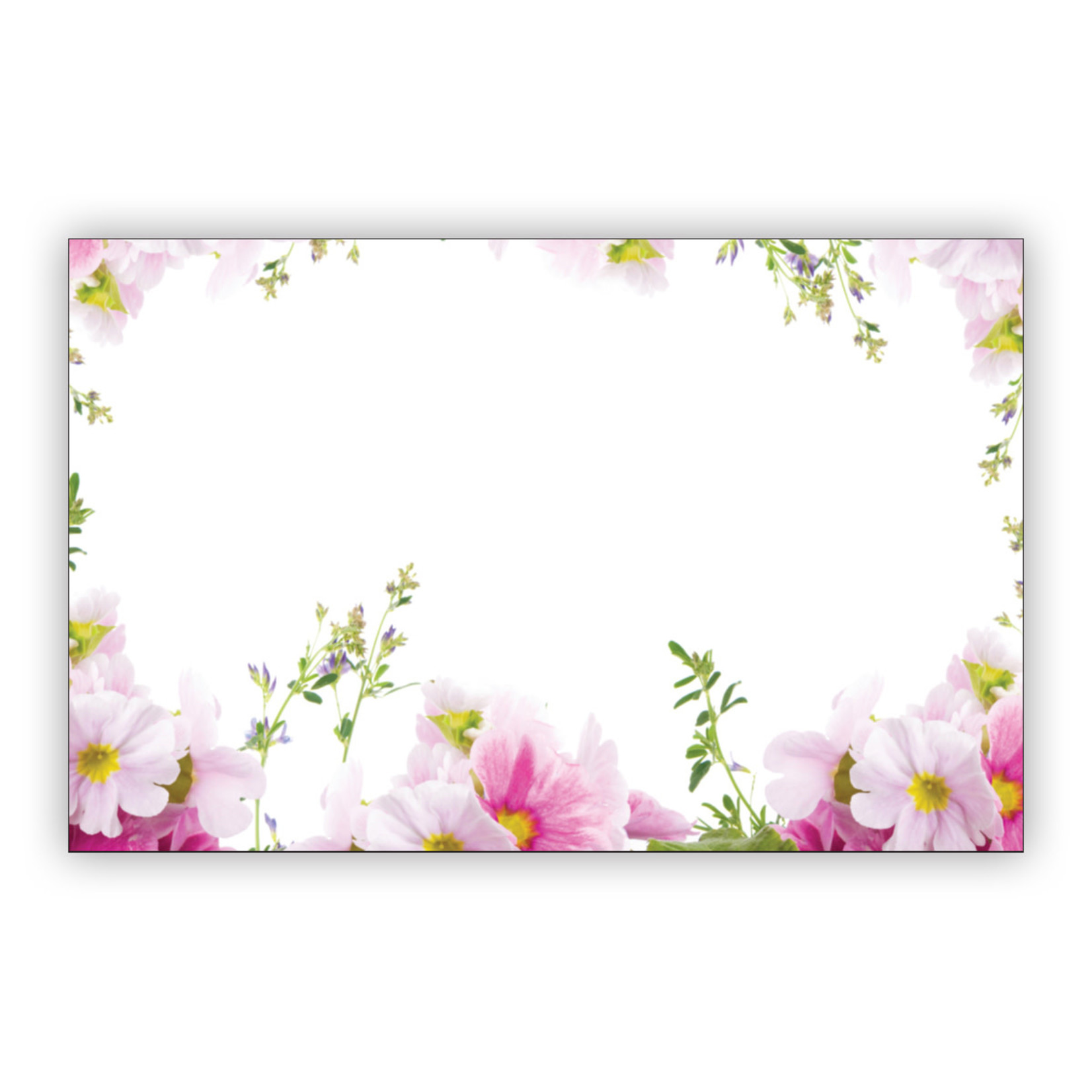 ' SPRING PINK BORDER'' CAPRI CARDS