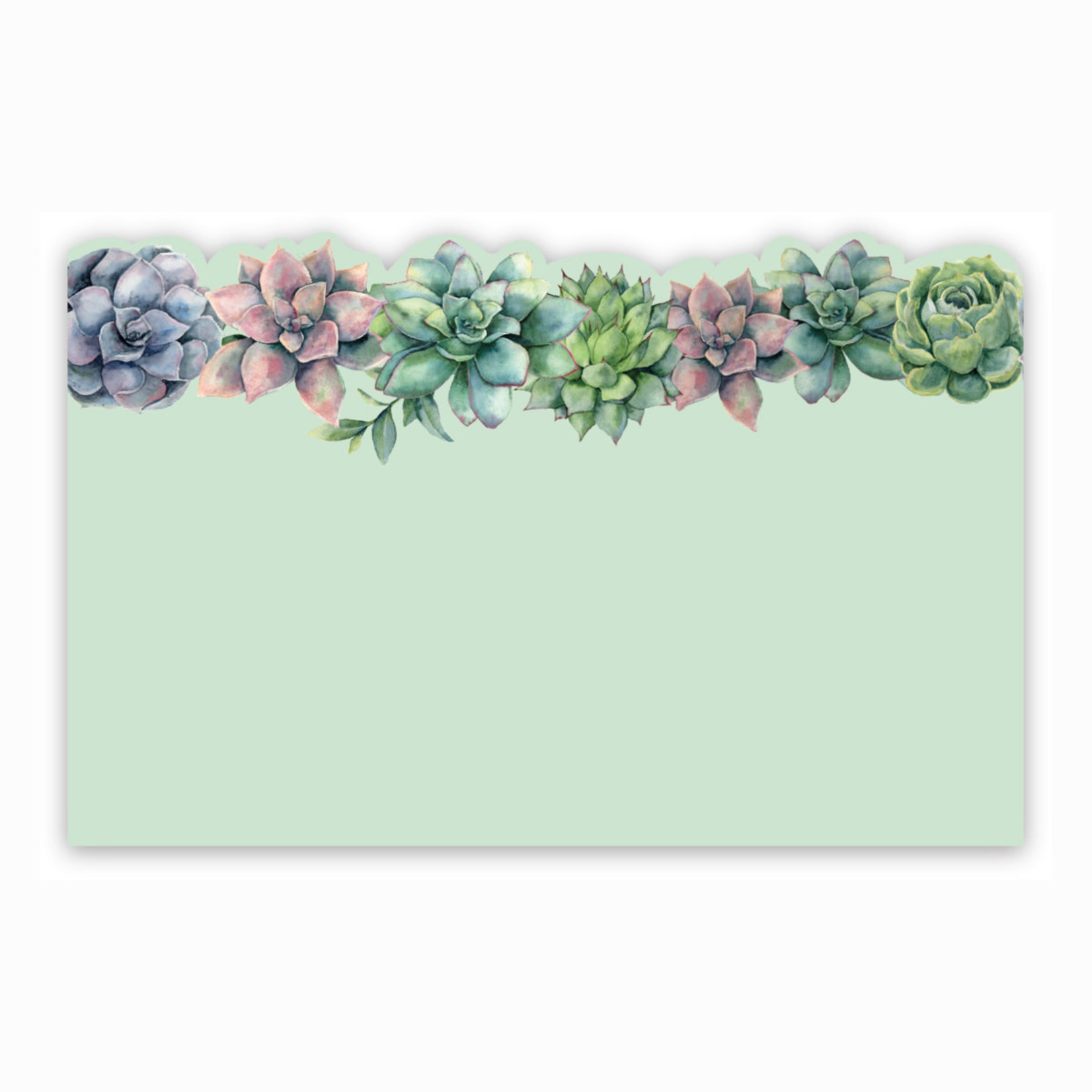 "NO SENTIMENT" CAPRI CARDS, SUCCULENTS