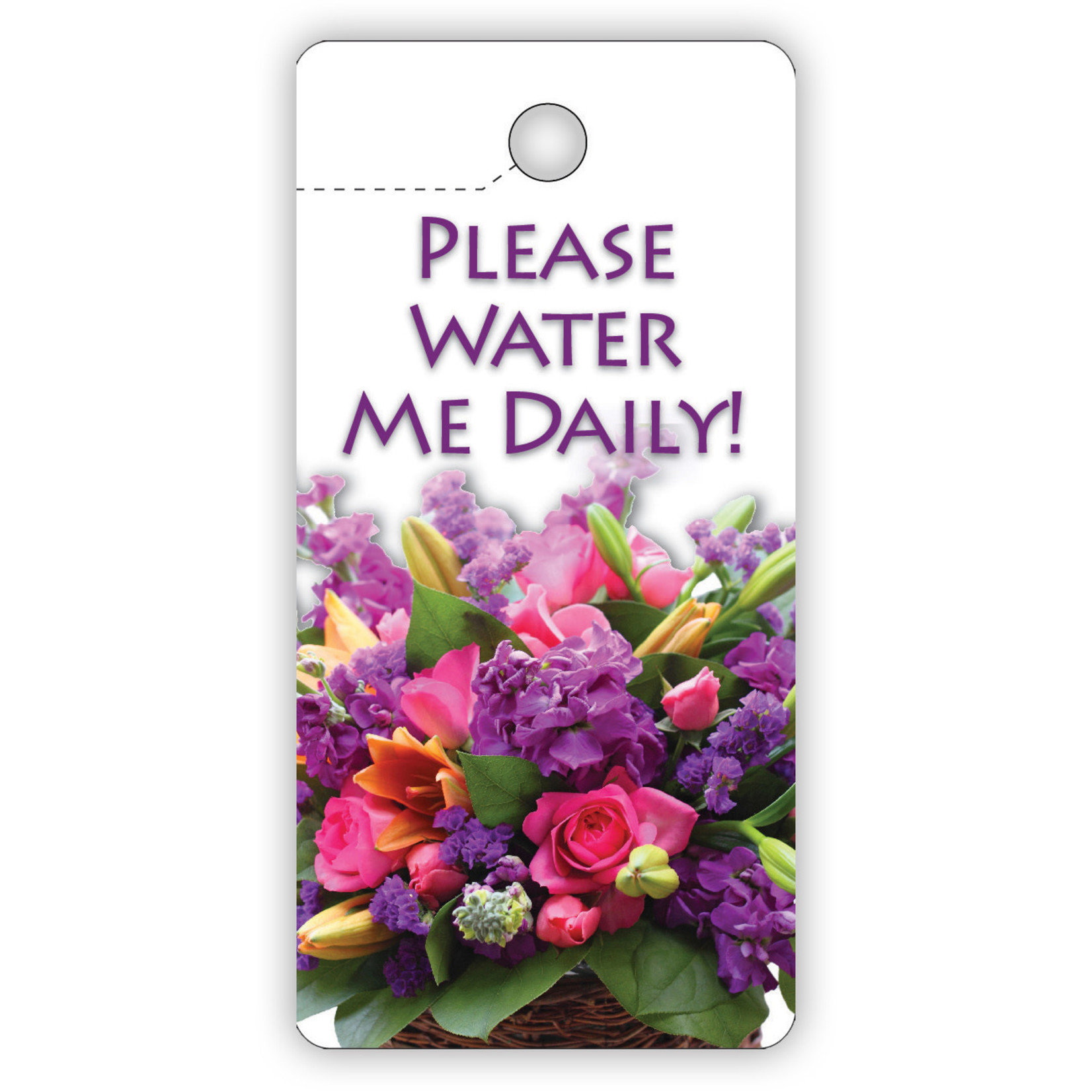TELL TAG: PLEASE WATER  ME DAILY! 2″ x 4″
