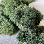 REINDEER MOSS GREEN