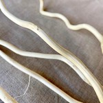 48" BLEACHED CORKSCREW WILLOW, 5 PCS