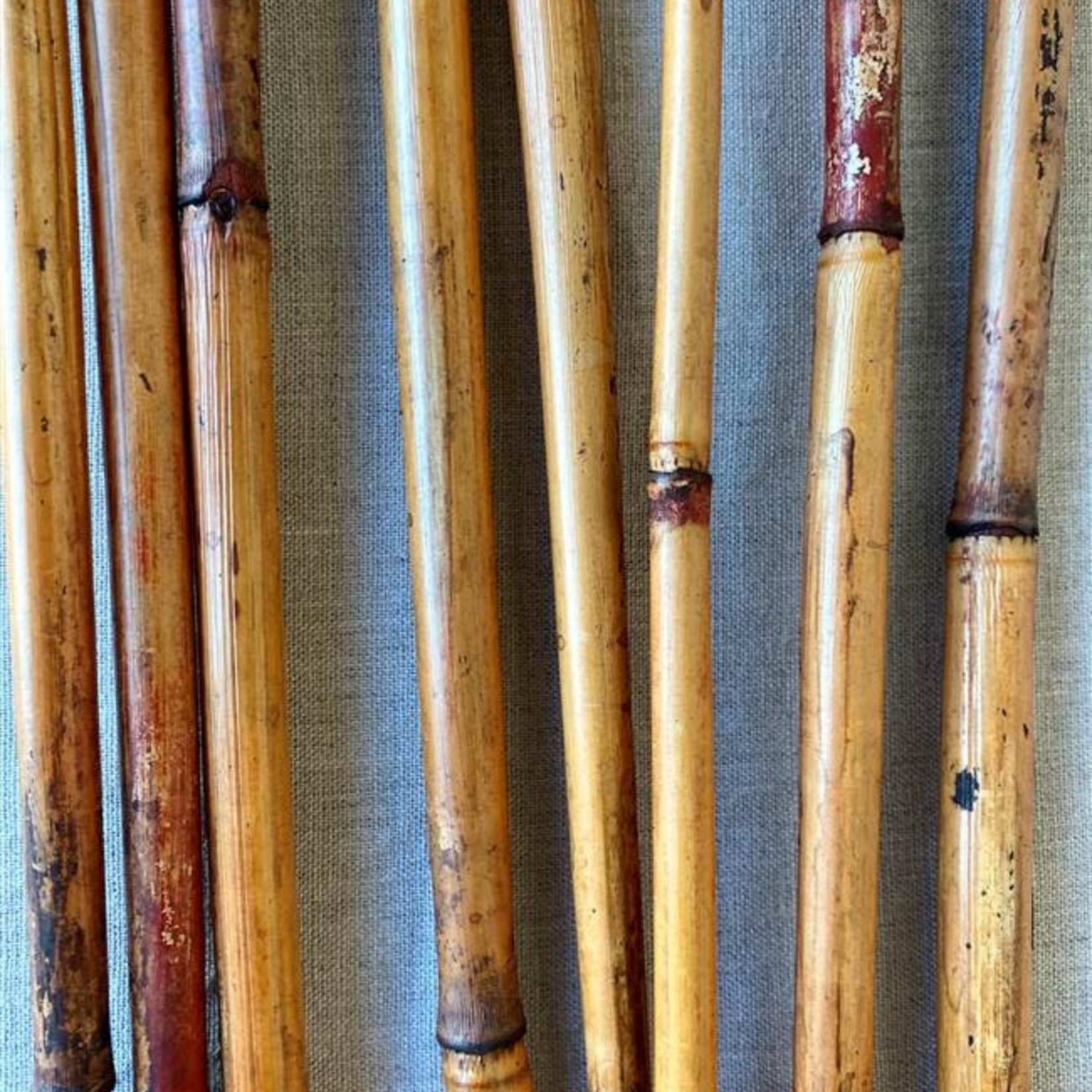 WALNUT RIVER CANE 3.5 FT 25 PCS IN BUNCH