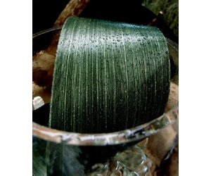 Aspidistra Leaf Ribbon - Green - 50mm x 50yds