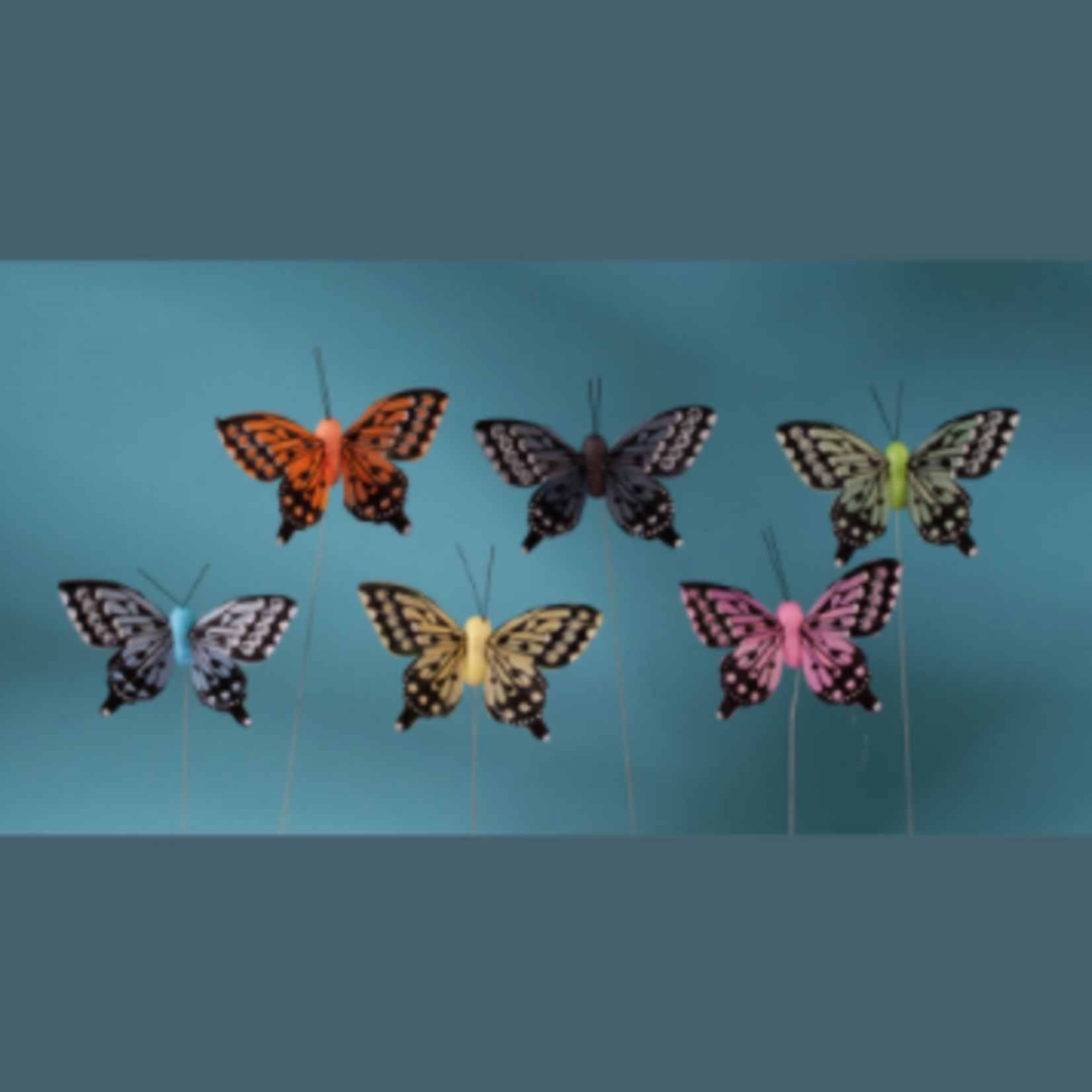 3'' FEATHER BUTTERFLY ASSORTED, 12pk
