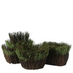 SET OF 3 VINE AND GREEN MOSS PLANTERS, reg $27.99