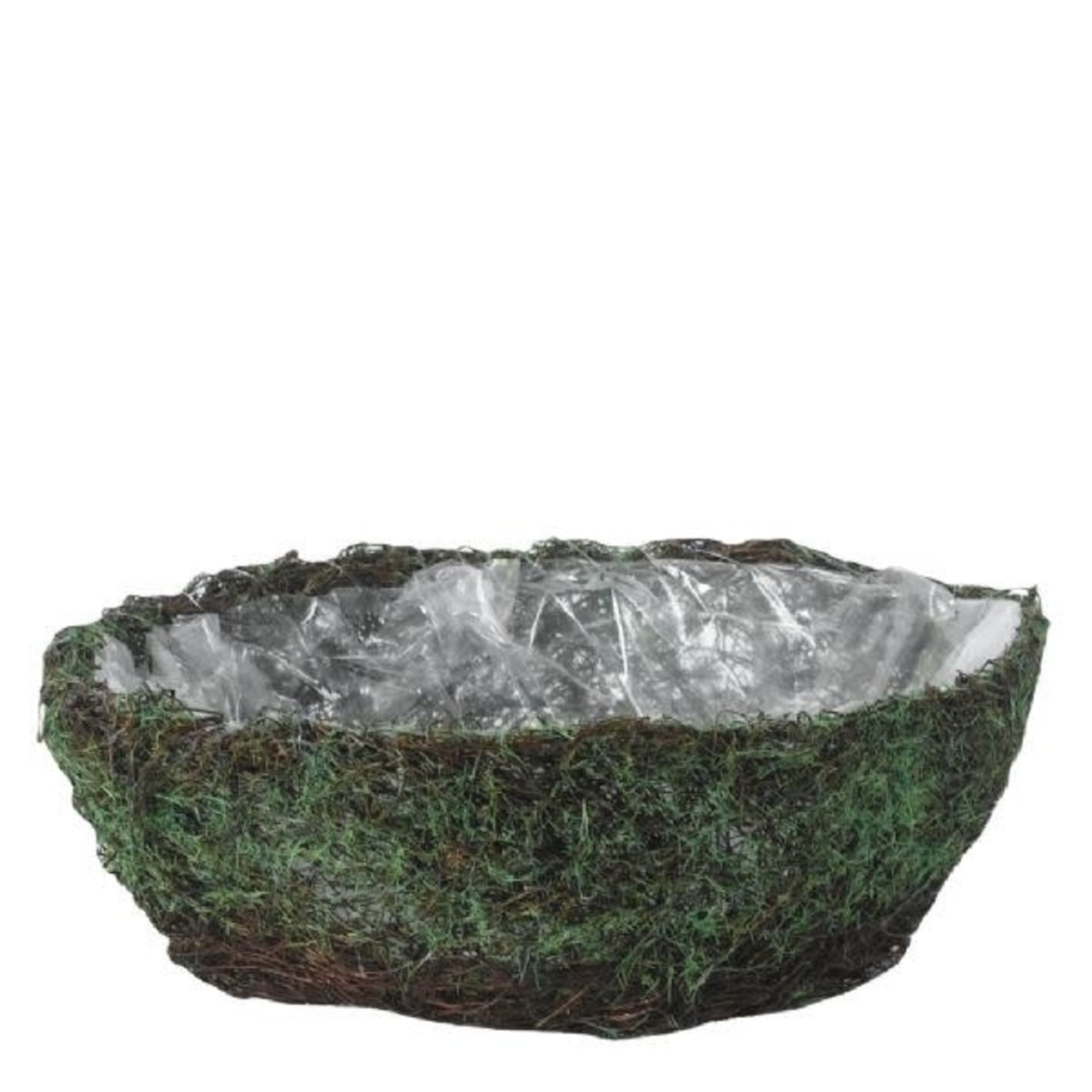 2.75" X  10.5'' ROUND VINE AND GREEN MOSS, REG $11.99