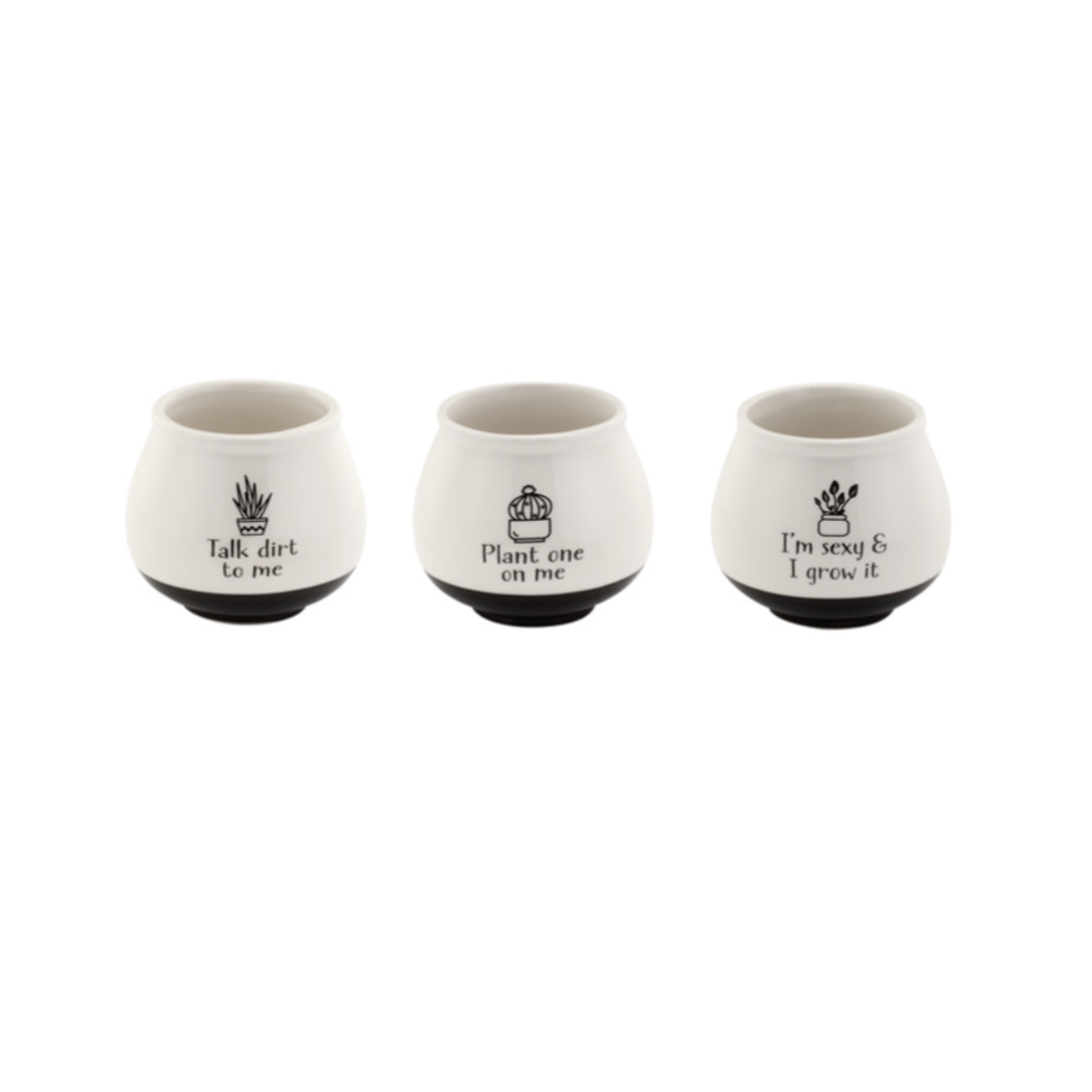 60% off was $8 now $3.20. 3.75" H x 3" W x 3" L WITTY CACHE POT