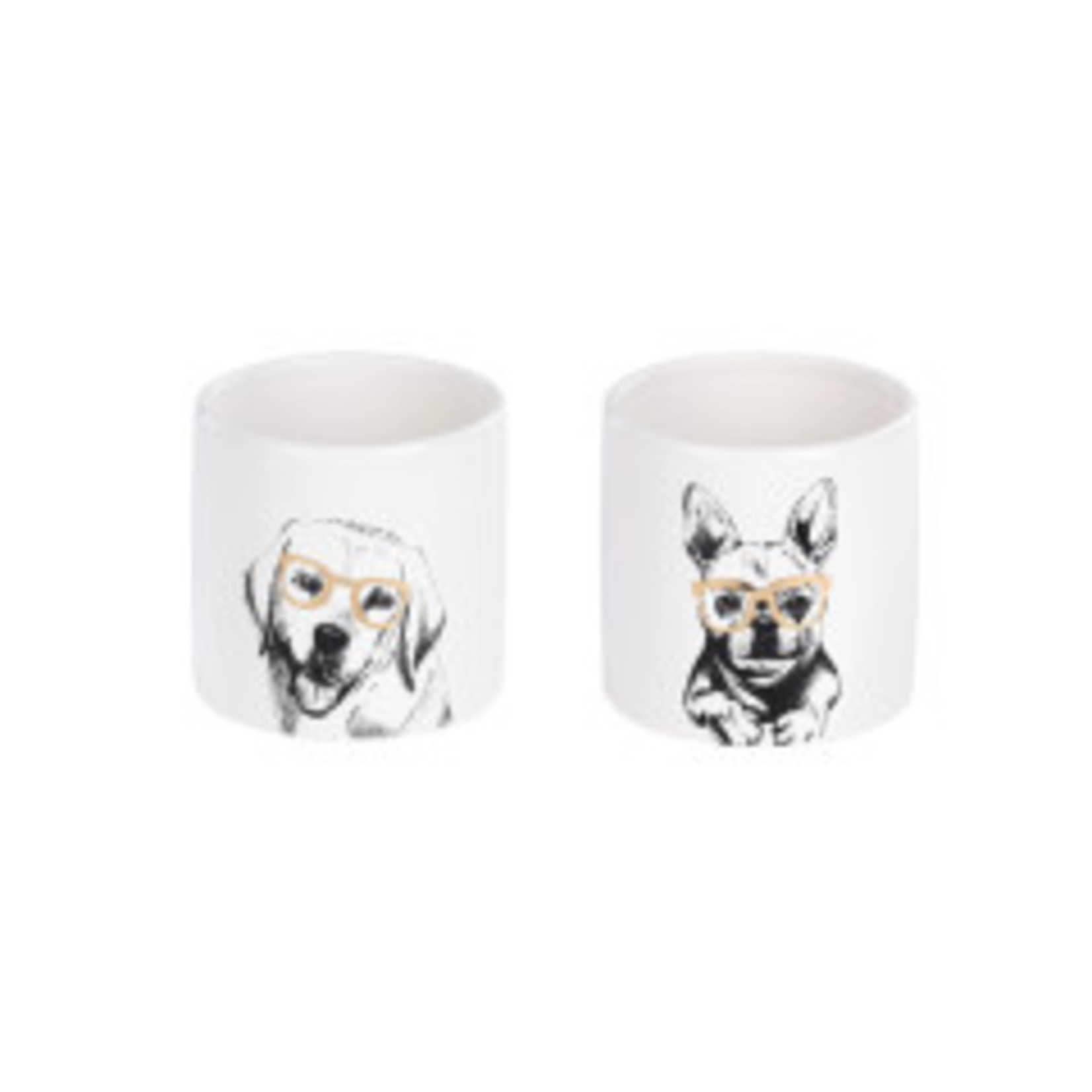 4.5L X 4.5W X 4.5H Cool Dogs Planters REG $9.99